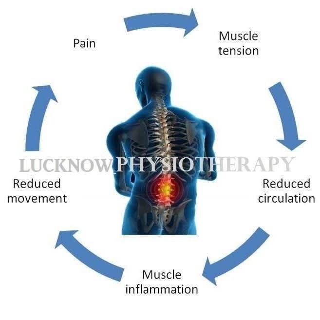 Understanding the Pain Cycle: Breaking Muscle Tension and Restoring Movement